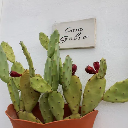 Tatil Evi Borgo Tortorella By Il Pumo Di Puglia Monopoli