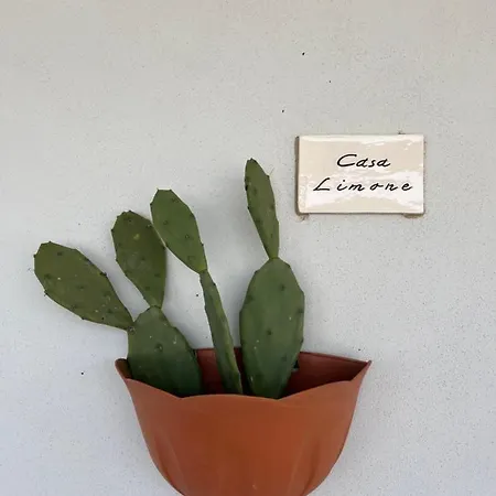 Borgo Tortorella By Il Pumo Di Puglia